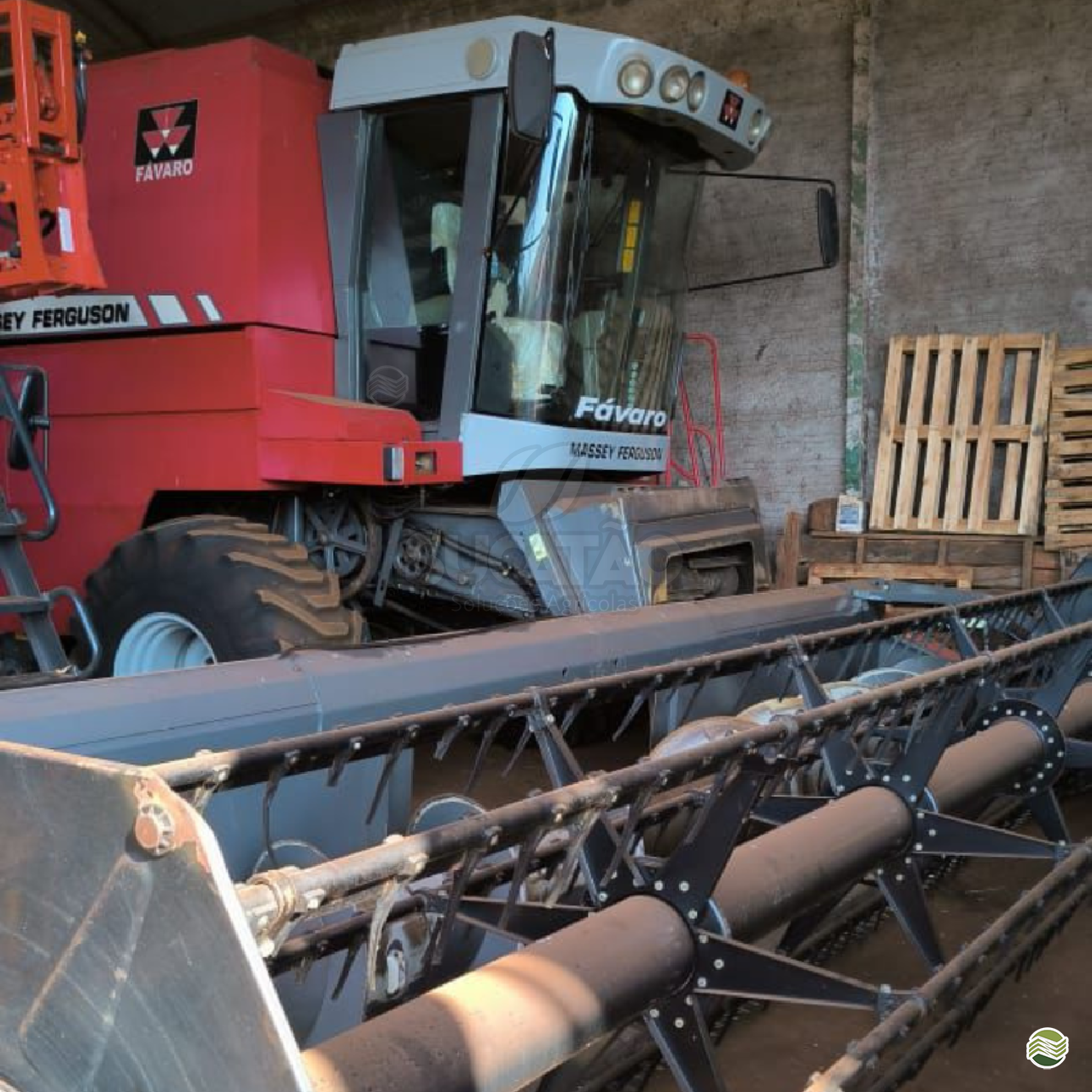 COLHEITADEIRA MASSEY FERGUSON MF 32 Sucatão Tratores e Peças IBIPORA PARANÁ PR